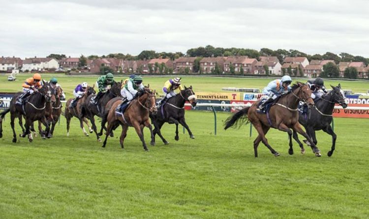 Horse racing tips TODAY: Horses you MUST back at Ayr, Kempton, Ludlow | Racing | Sport