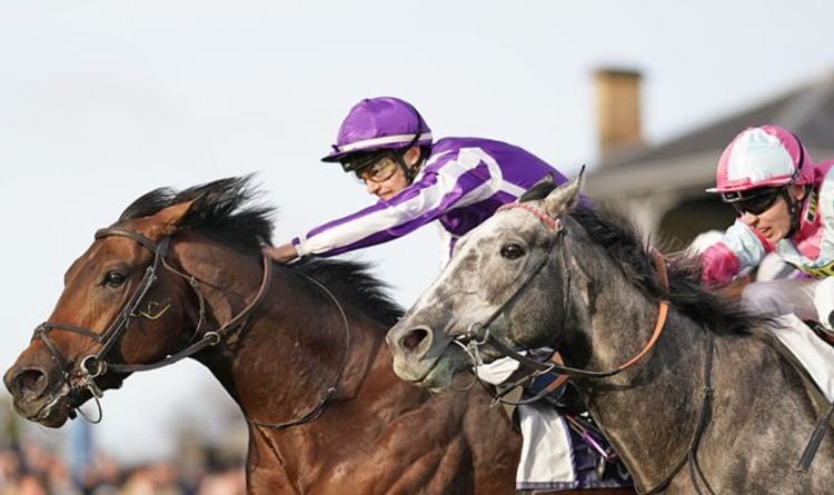Horse racing tips TODAY: Doncaster, Lingfield, Newbury, Newcastle | Racing | Sport