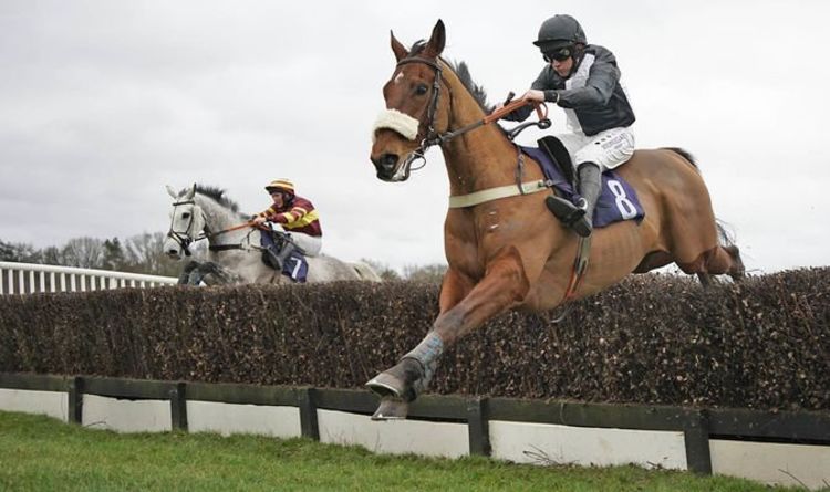 Harry Fry Stable Tour