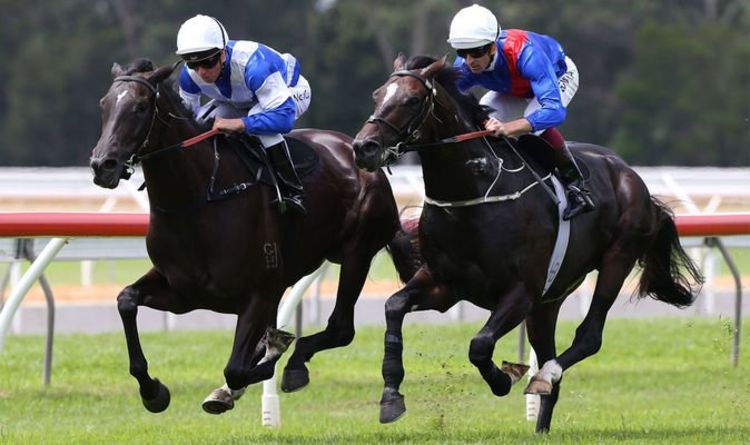 Horse racing tips TODAY Warwick