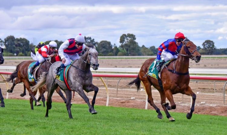 Horse racing tips May 13: Horses you MUST back at Kempton, Windsor and Wolverhampton | Racing | Sport