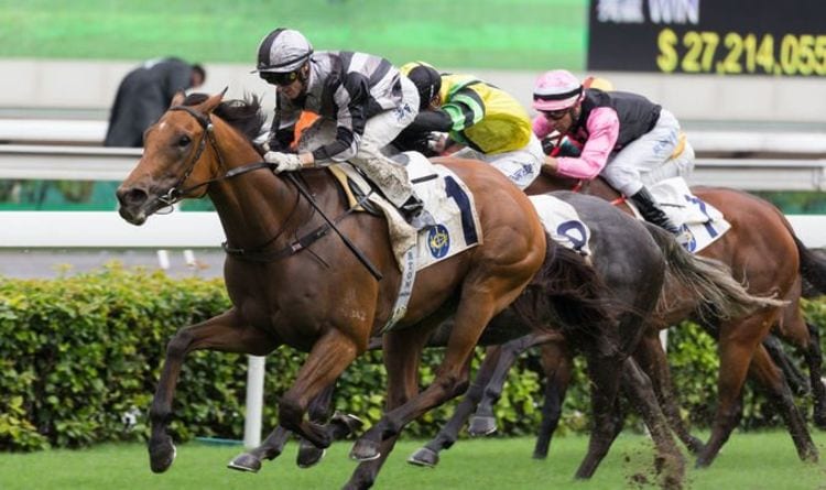 Horse racing tips May 27: Horses you MUST back at Chelmsford, Leicester and Cartmel | Racing | Sport