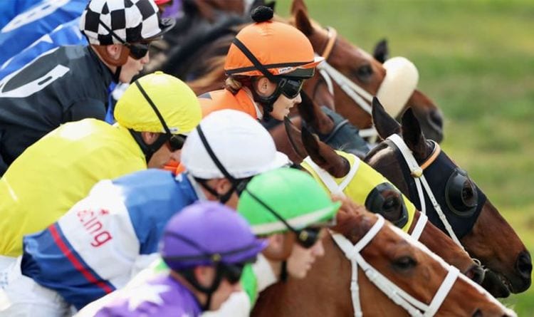 Horse racing tips TODAY: Horses to back at Ayr, Exeter, Fakenham, Wetherby and Wolves | Racing | Sport