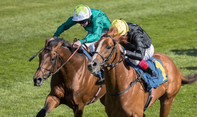 Horse racing tips TODAY: Horses you must back at Aintree, Hamilton, Newbury and Newmarket | Racing | Sport