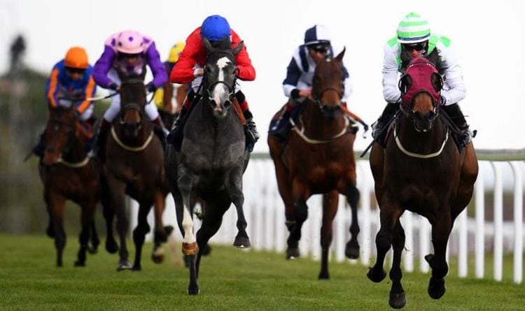 Horse racing tips TODAY: The horses must MUST back at Bath, Haydock, Worcester | Racing | Sport