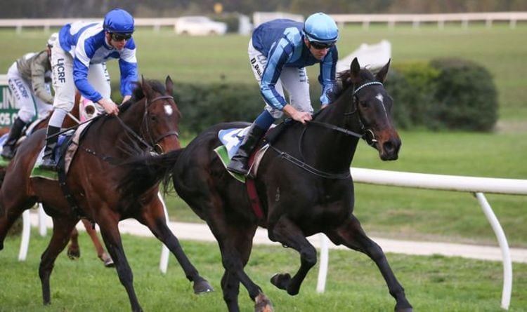 Horse racing tips June 5 Horses you MUST back at Kempton, Nottingham and Ripon | Racing | Sport