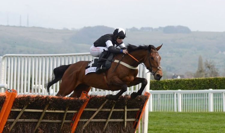 Horse racing tips TODAY: Horses you must back at Newcastle, Ascot and Chester | Racing | Sport