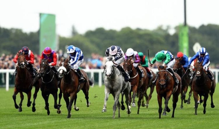 Horse racing tips today: Horses to back at Brighton, Hamilton, Chepstow and Stratford | Racing | Sport