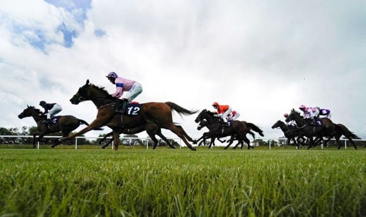 Horse racing tips today: Horses you must back at Beverley, Bath, Nottingham, Southwell | Racing | Sport