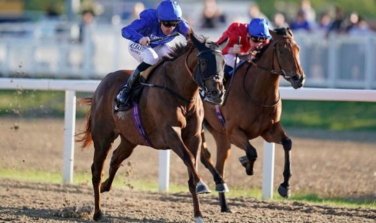 Horse racing tips today: Horses you must back at Chelmsford, Sandown, Leicester and more | Racing | Sport