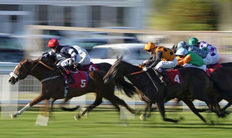 Horse racing tips Market Movers service - Latest £10,272.62 Profit...And Counting!