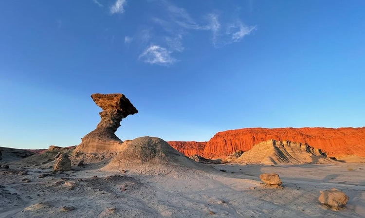 There are several stunning nationals parks on the Salta to Mendoza route that can be enjoyed