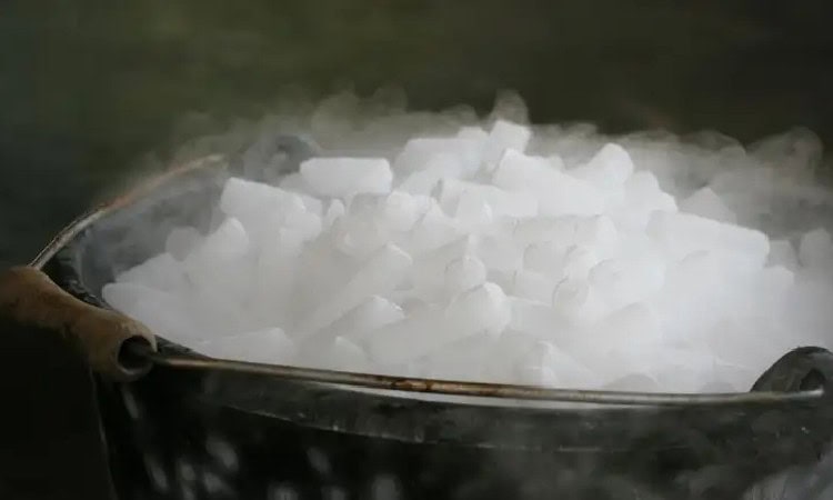 Dry ice untuk ikan, Sumber: orami.com