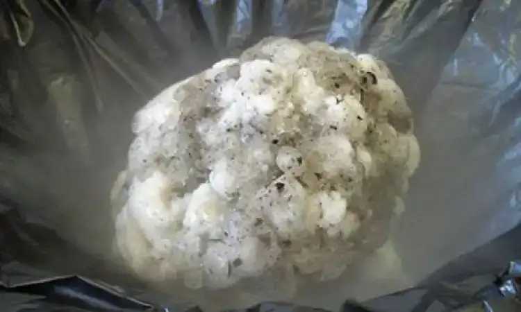 Komet dari dry ice, Sumber: starnetlibraries.org