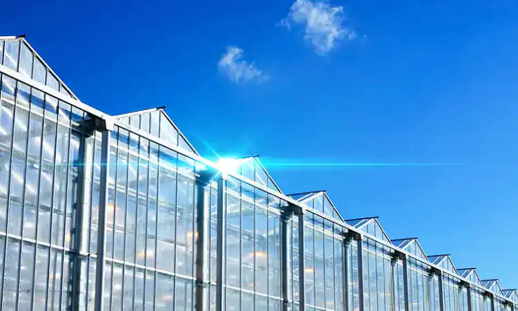 Greenhouse modern, Sumber: a-sera.com