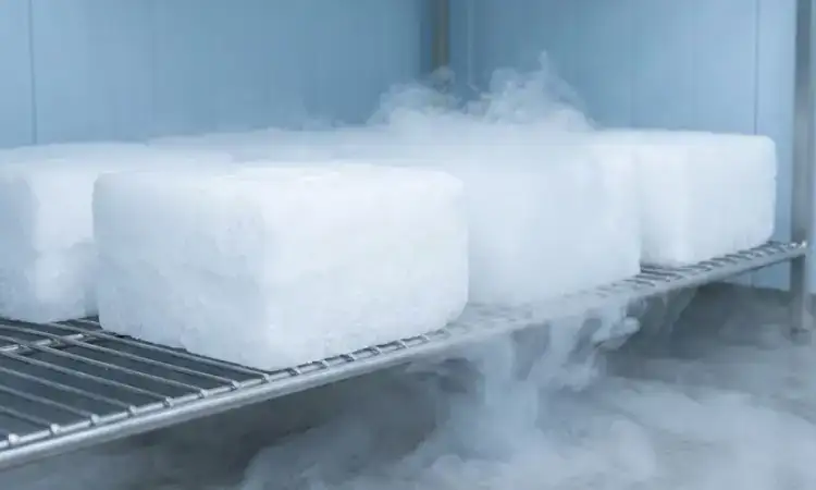 Produk dry ice higienis, Sumber: AI