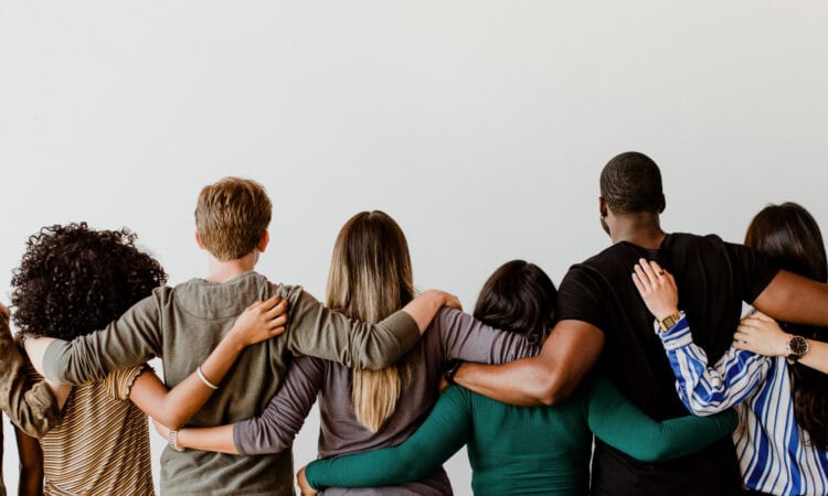 Logiciel fédération