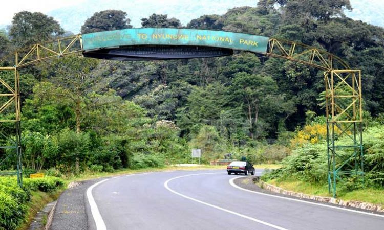 Rwanda's Wildlife Conservation