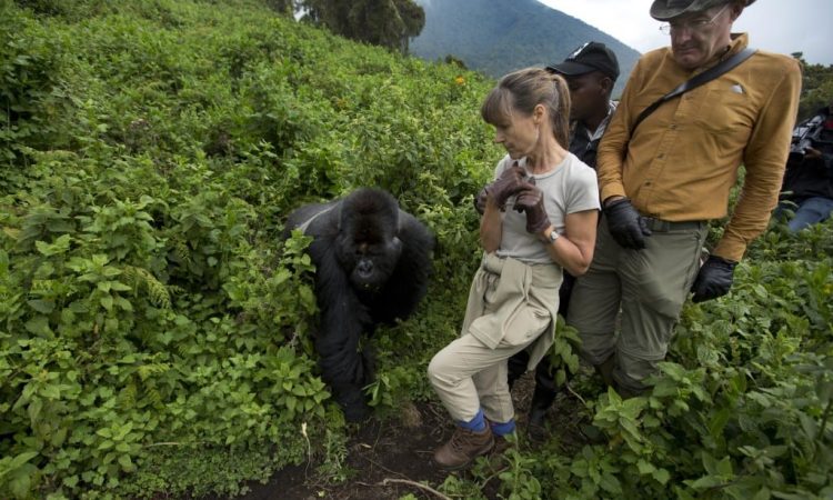  Sustainable Travel Tips to Rwanda