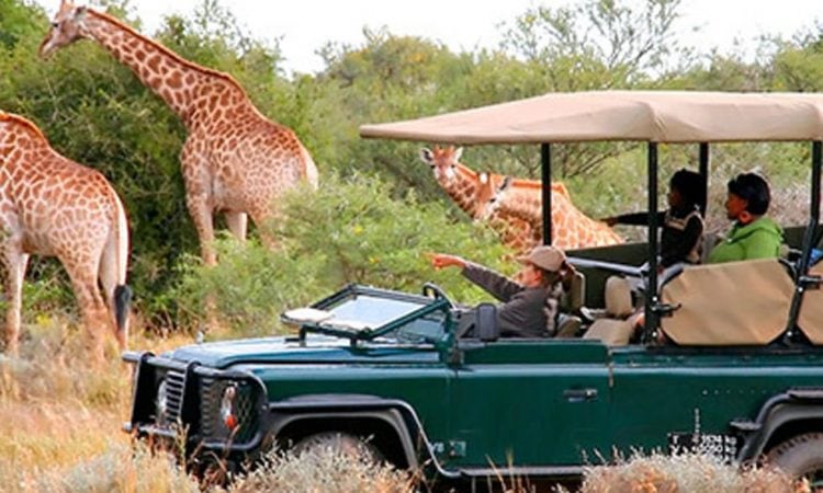 Luxury Travel in Rwanda Without the Crowd