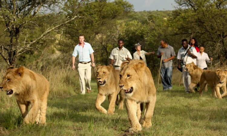 Easy Nature Walks for All Ages in Rwanda