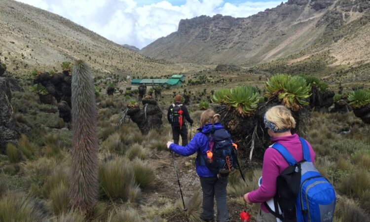 Mount Kenya
