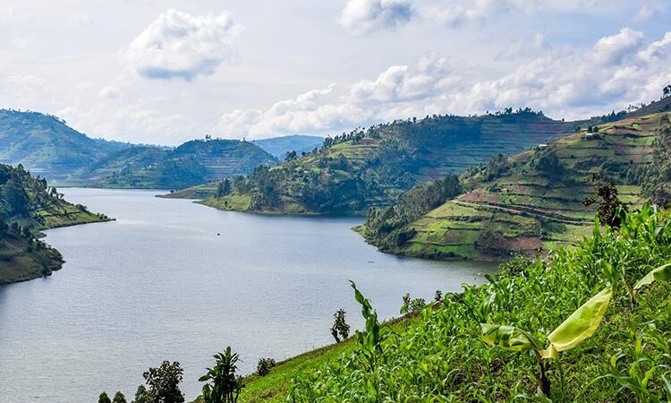 14 Days Explore Uganda Safaris