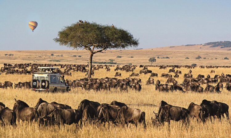 11 Days Kenya, Tanzania and Uganda Combined Safari