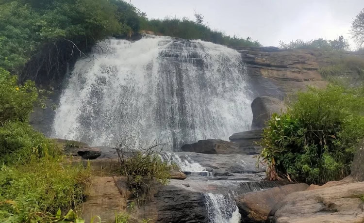 केरल