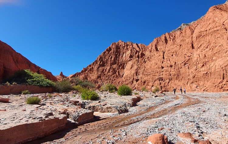 trekking in the semi-desert of the Salta region