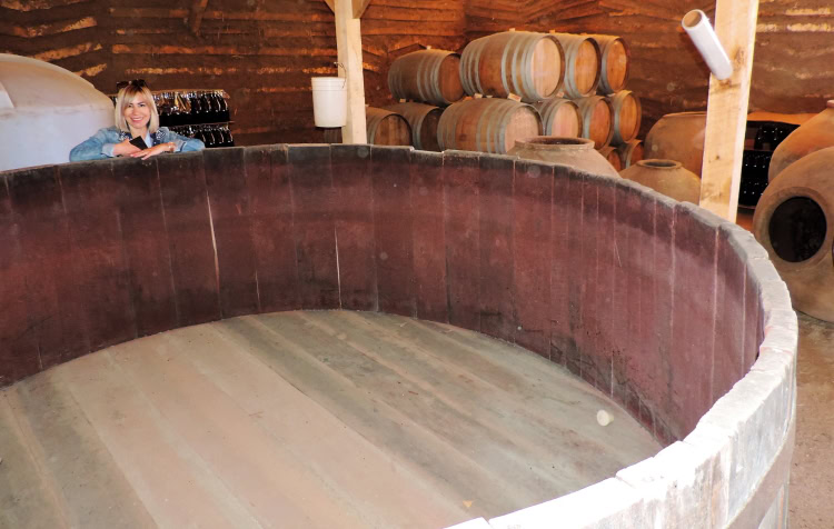 Open Rauli lagars are used for fermenting Pipeño