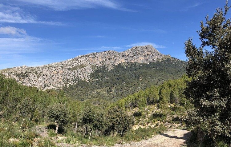 Puig Galazoó vor blauem Himmel auf Mallorca