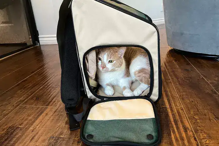 post carrier