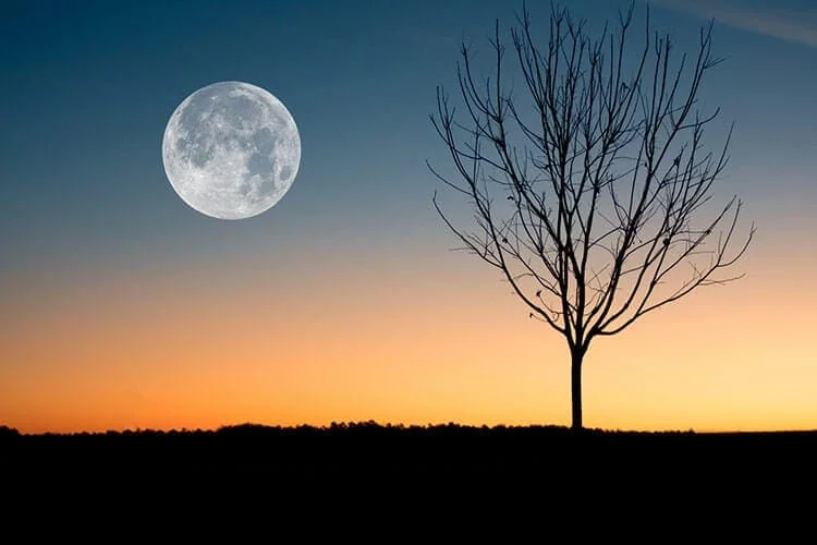 Full moon landscape