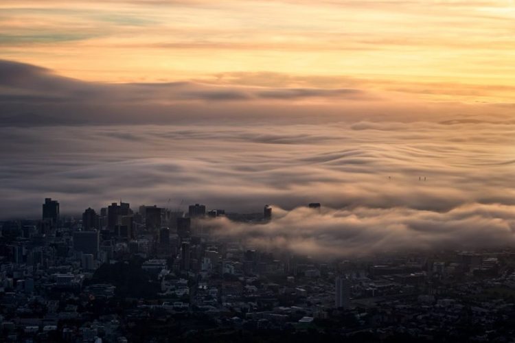 Portada del curso de Foggy Cape Town