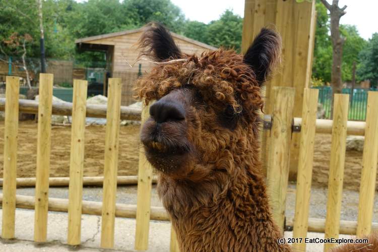 Paradise Wildlife Park 173