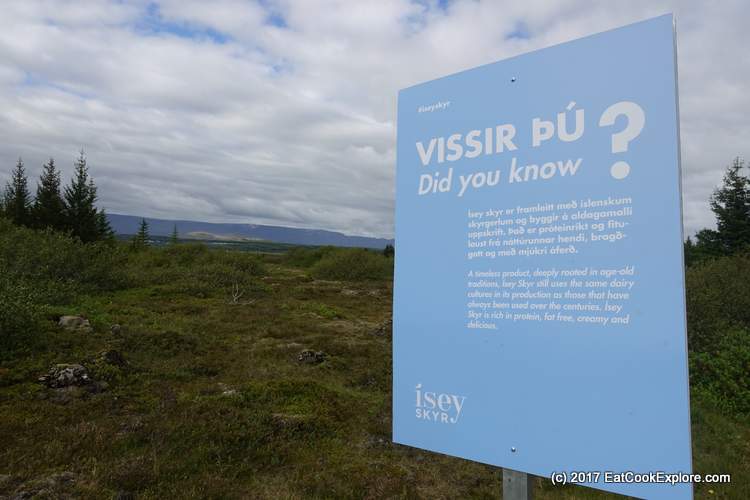 Iceland Isey Skyr launch party