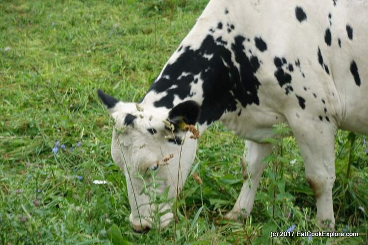 322 Organic Dairy Farm 323