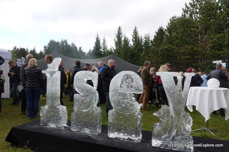 Isey Skyr Launch Part in an Icelandic forest