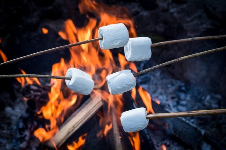 inter barbecue marhsmallows