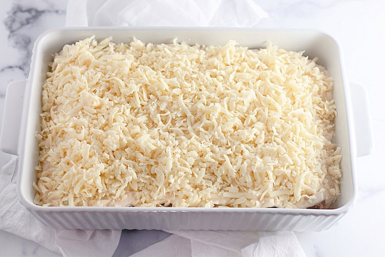 This Chicken Enchiladas Suizas recipe is one of the best enchiladas you'll ever try. It's easy and so yummy!