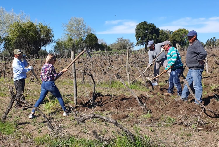 Malka trying her hand at field work