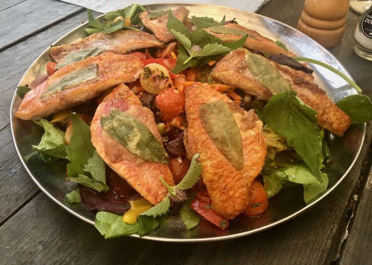 Saltimbocca van rode mul
