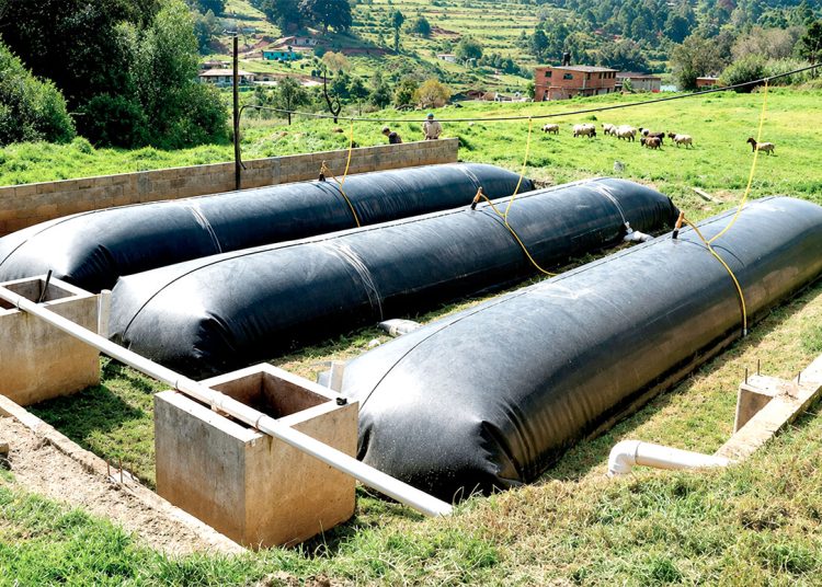 El aprovechamiento de residuos mediante biodigestores puede reducir el uso de combustibles y fertilizantes químicos.