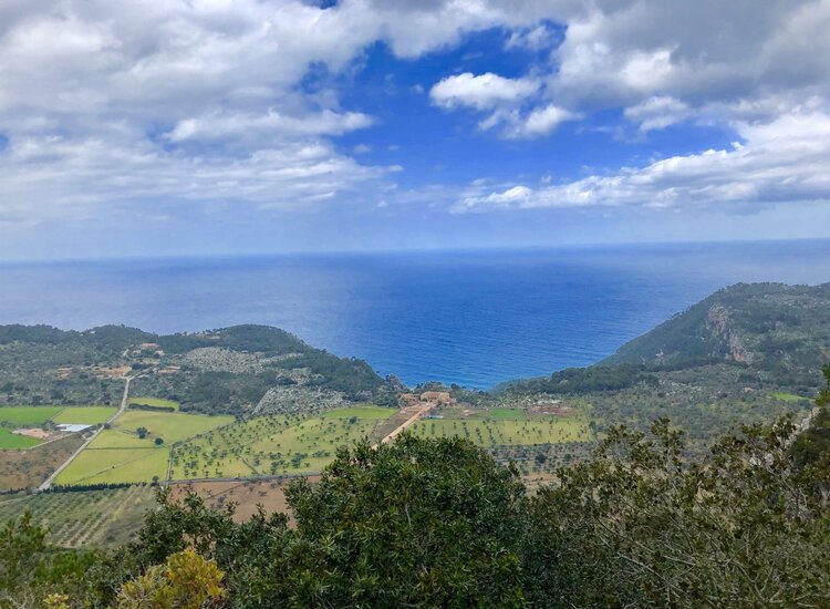 Blick zum Meer auf dem Weg nach Valldemossa