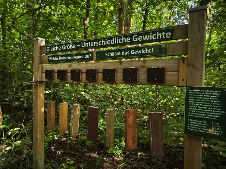Wissensquizze am Erlebnispfad Fahretoft.