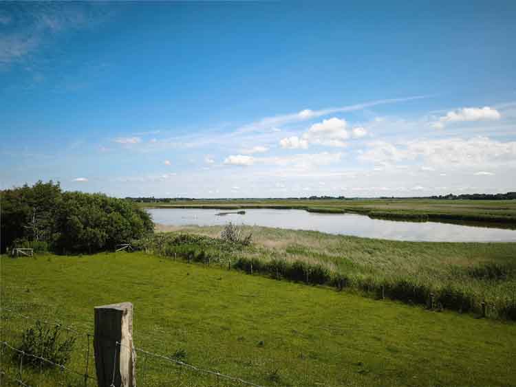 Ein Naturschutzgebiet, die Wester Spätinge, mit Wiesen, mit kleinen Seen und Lebensraum für Vögel.