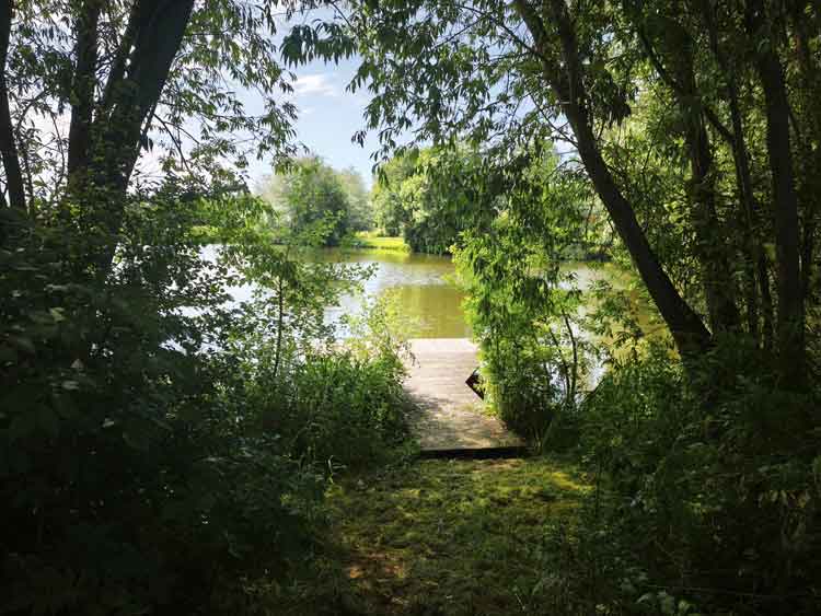 Ein Blick durch Bäume auf eine Wehle. Ein Badesteg führt zwischen den Bäumen zum Wasser. Die Sonne glitzert im Wasser und lädt zum Baden ein.