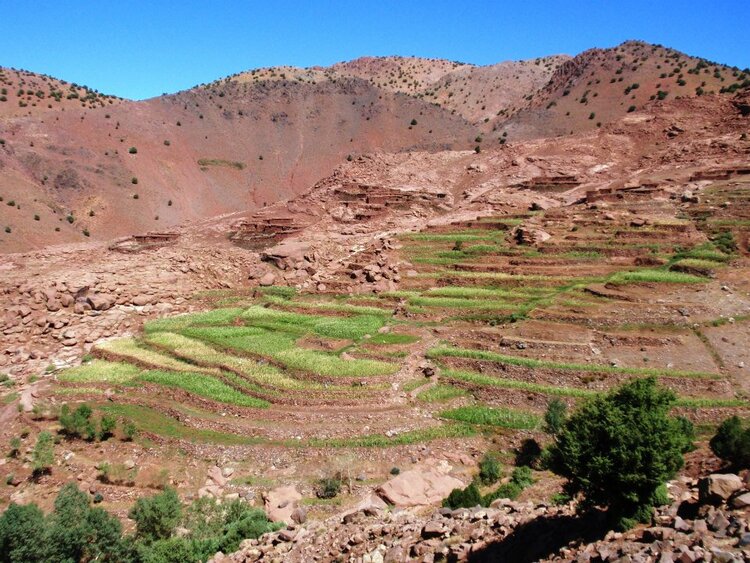 Atlas Mountains Day Hikes & Berber Villages Adventures 2026