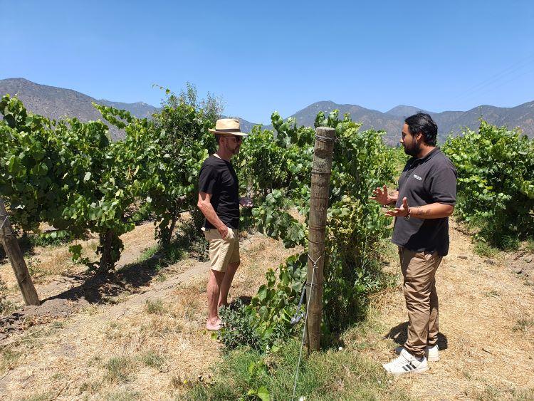 Sebastian from Emiliana explaining a little about biodynamics